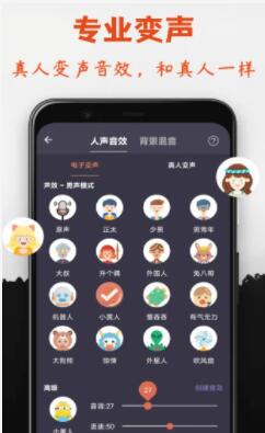 专业变声器