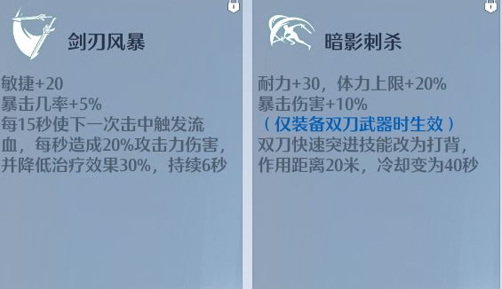 诺亚之心双刀怎么玩 诺亚之心双刀玩法攻略