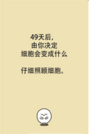 我的49天与细胞手游