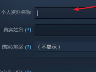 Steam怎么尊享名字 Steam可以尊享名字吗