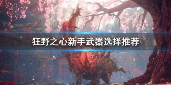 狂野之心新手该选择什么武器 狂野之心新手武器选择推荐