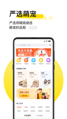 共宠app下载